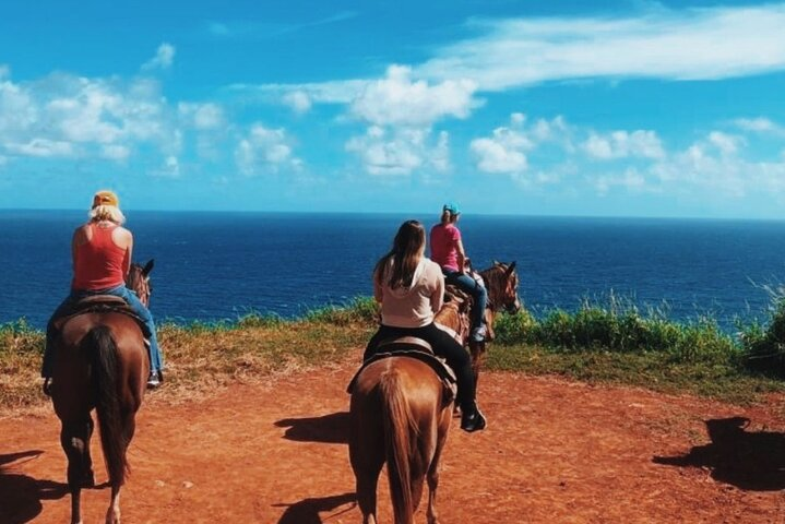 Maui Horseback-Riding Tour - Photo 1 of 14